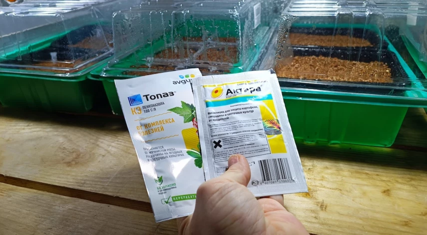 Как ухаживать за ампельной петуний