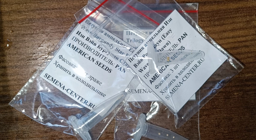 Выращивание кустовых петуний