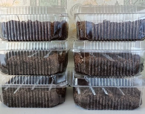 подготовка семян к посеву