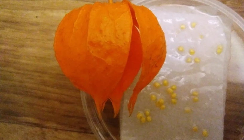 как замачивать семена перед посевом