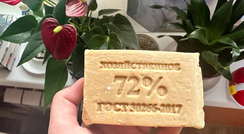 Борьба с комнатной тлей