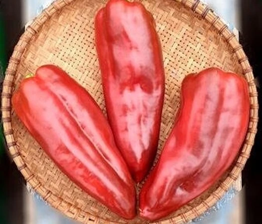 гибриды перца большие плоды