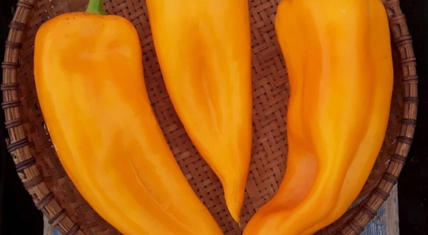 большие перцы