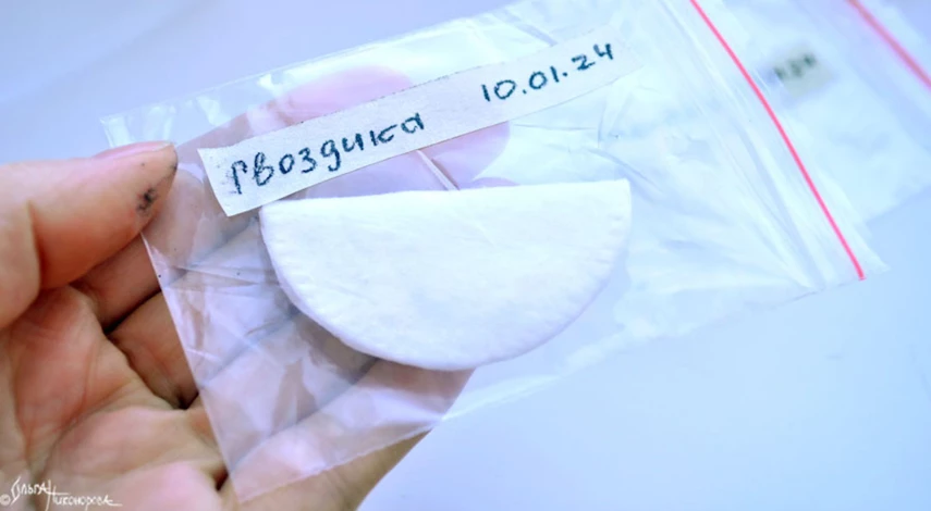 Стратификация семян в холодильнике