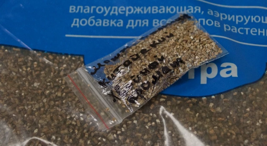 стратификация в вермикулите