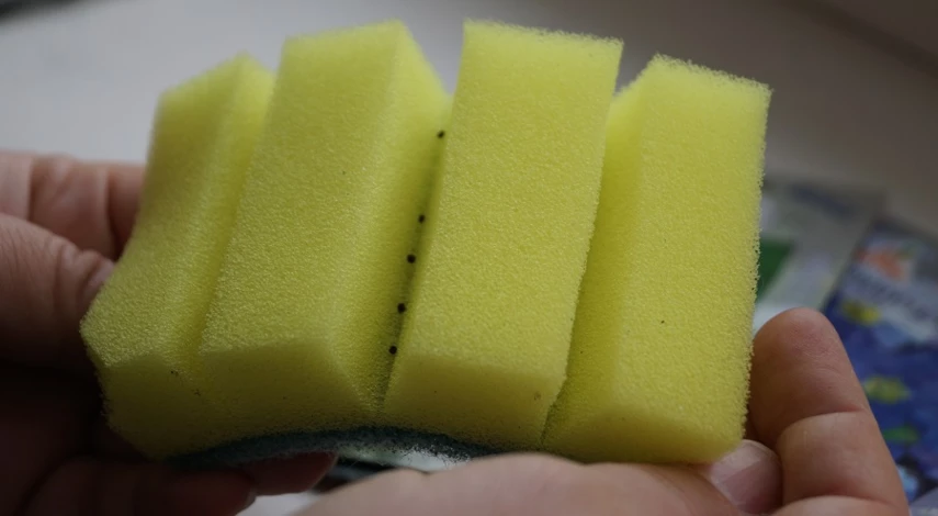 нужна ли стратификация семенам