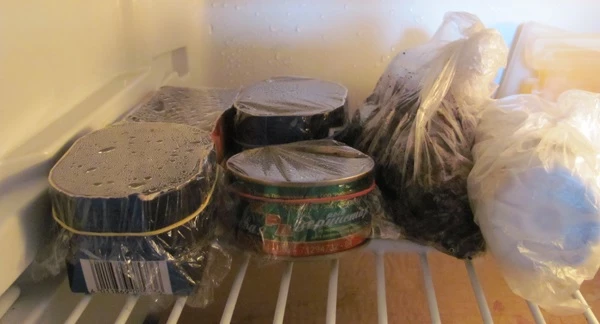 как проводить стратификацию семян в холодильнике