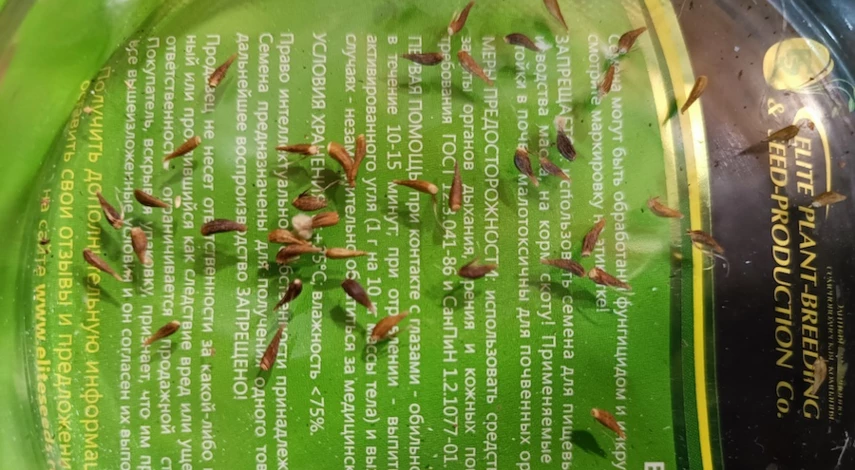 гацания посадка