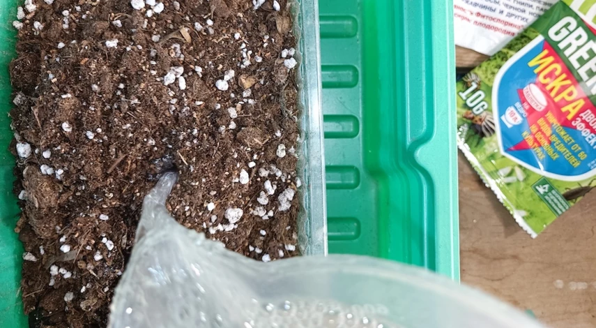 гацания фото посадка