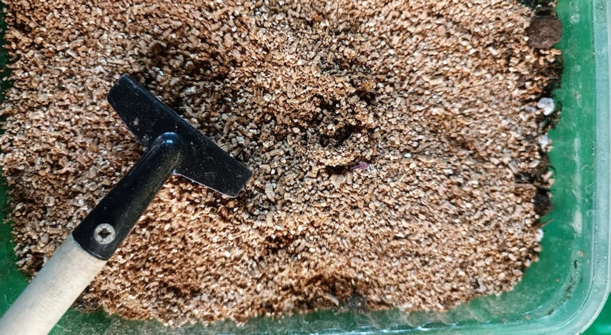 как выглядит гацания