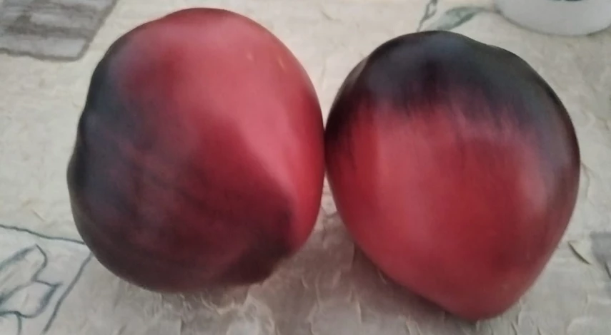 сержант пеппер сорт томата