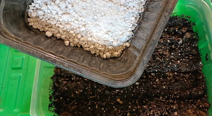 Грунт для виолы