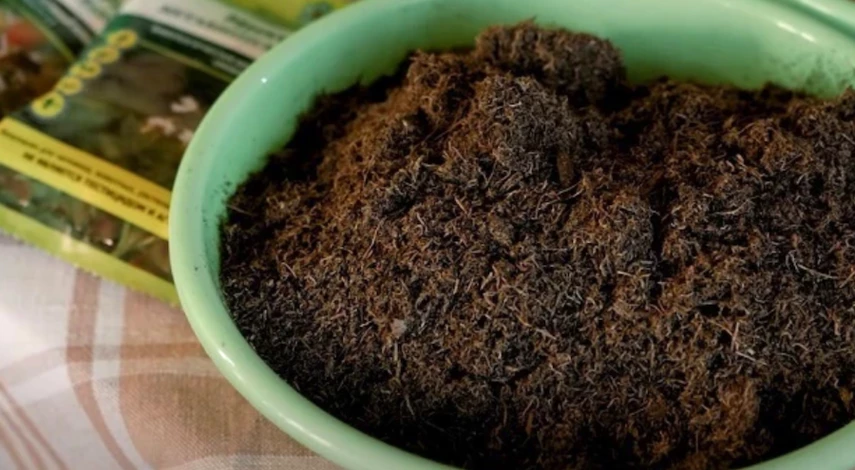 Верховой торф для голубики