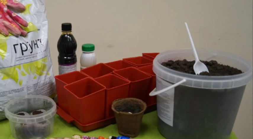 Торф для голубики