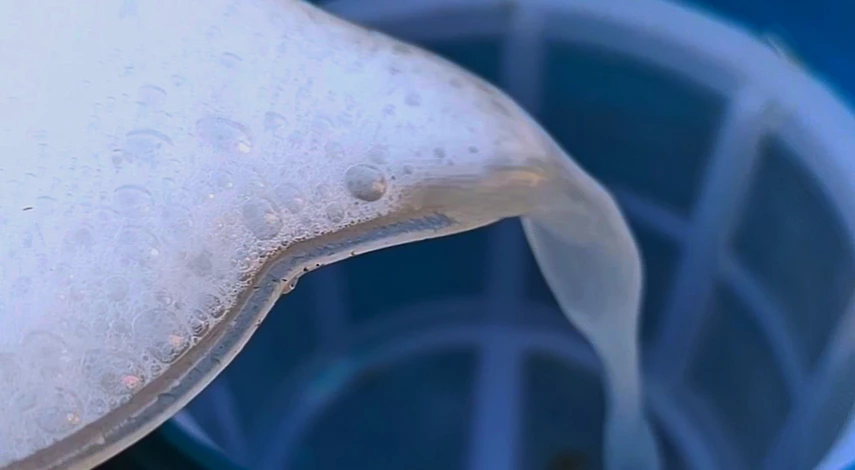 средство от щитовки