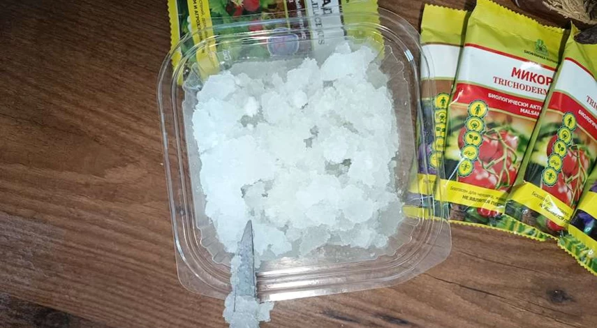 как правильно посадить клубнику весной