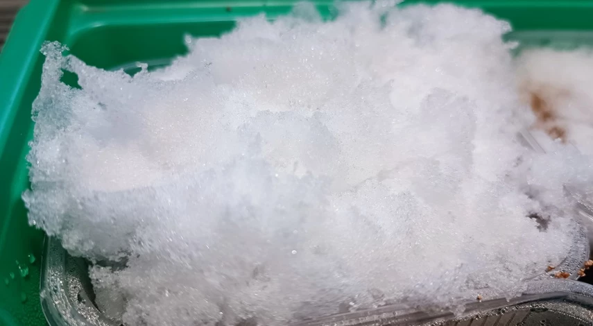 как посадить клубнику семенами