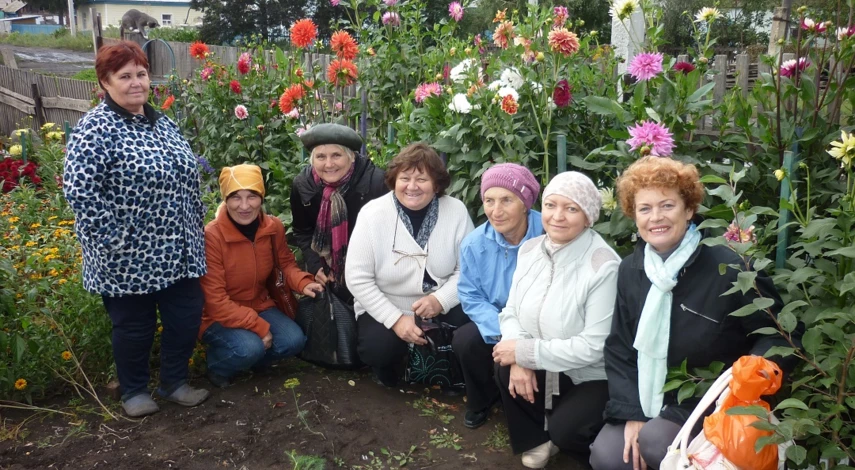 георгины посадка и уход