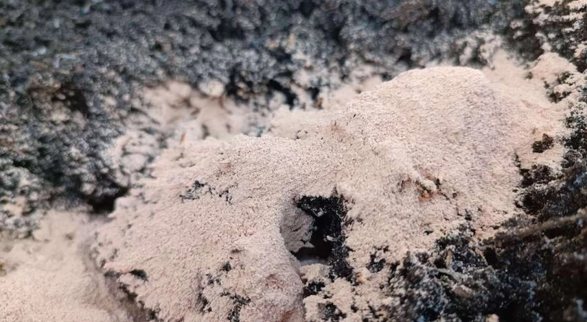 нейтральная щелочная почва