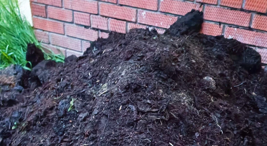 Щелочная почва что добавить