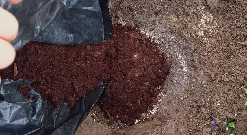 Щелочная почва что делать что добавить