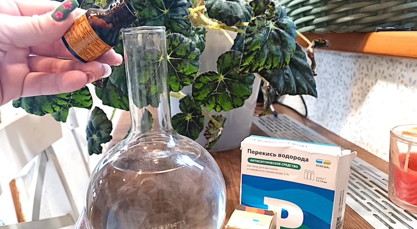 рецепт подкормки перекисью водорода