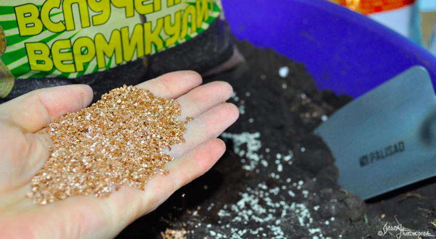 Состав грунта для рассады перца