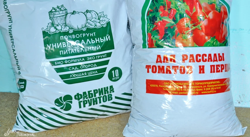 Лучший грунт для рассады перца