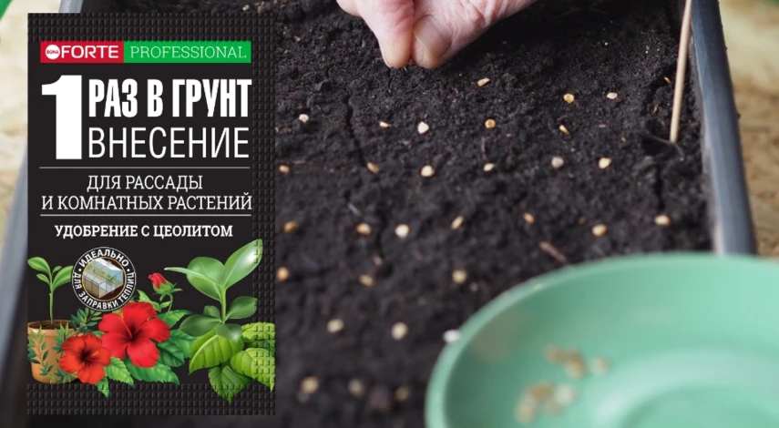 подкормка томатов