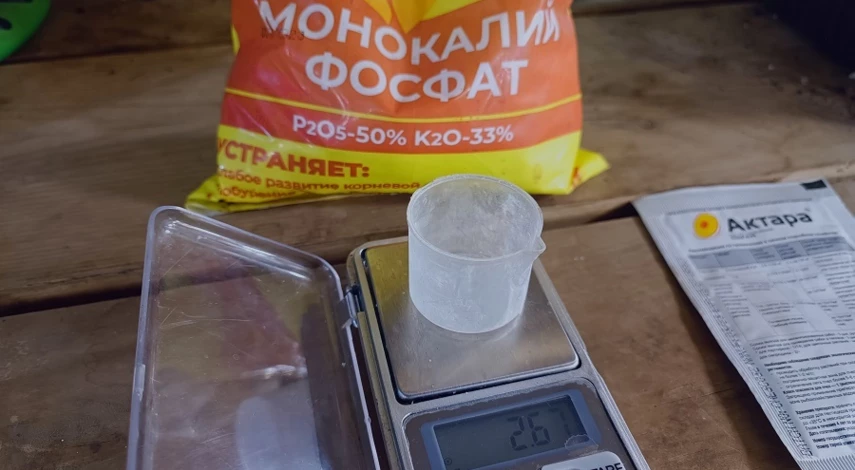 подкормка рассады петунии