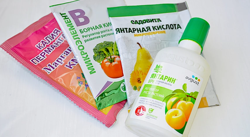 плодоношение томатов чем подкормить