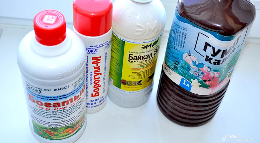 чем подкормить помидоры до пикировки