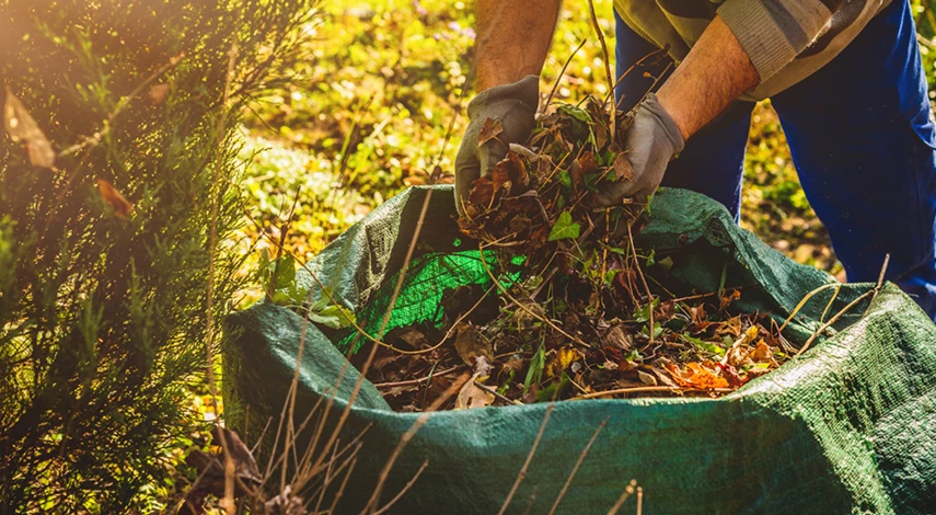 избавиться от клещей
