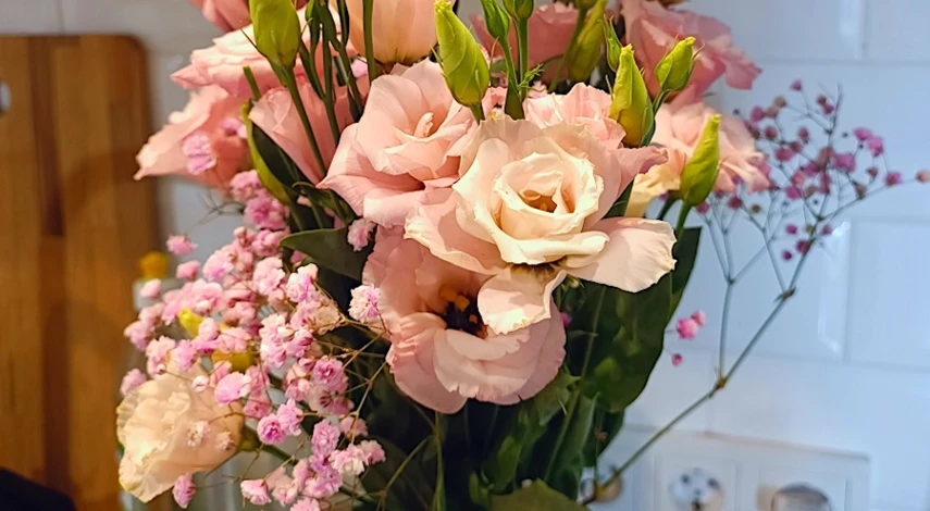 гипсофила дизайне гипсофила