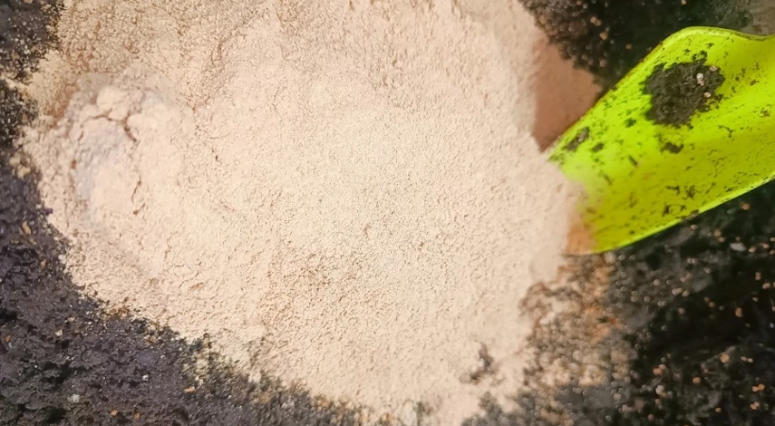 гипсофила посадка и уход