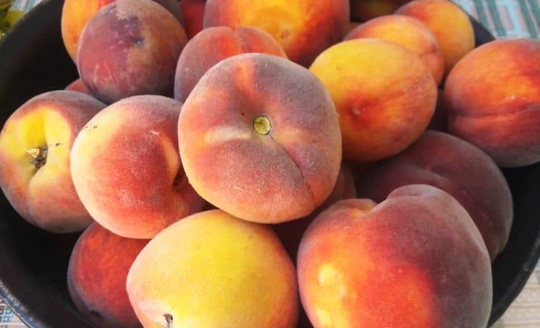 как сажать персик