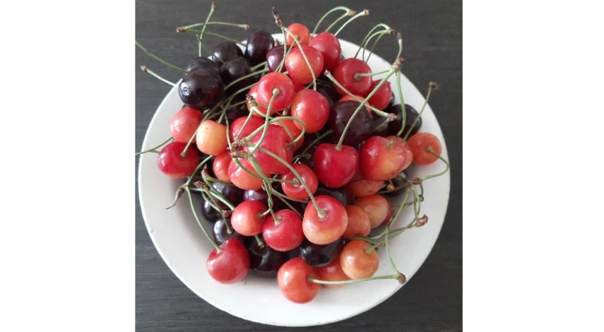 черешня урожай