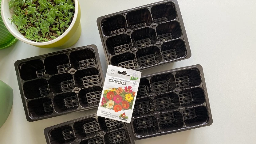 портулак семенами на рассаду