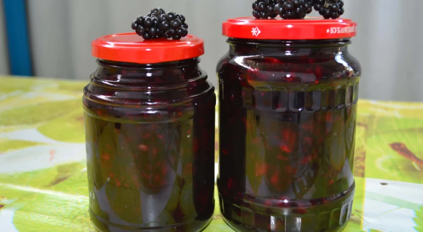 полезные свойства ежевики