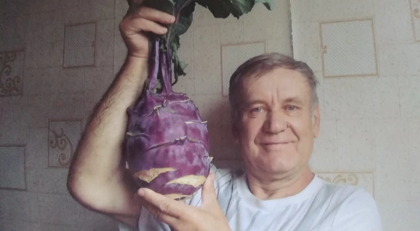 посев кольраби на рассаду