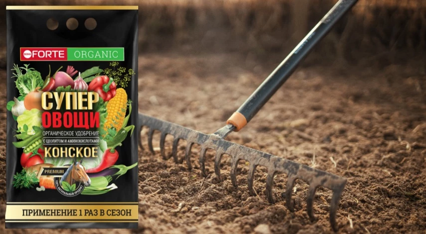 чем подкормить чеснок весной посаженный