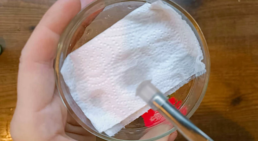 семена огурцов на рассаду