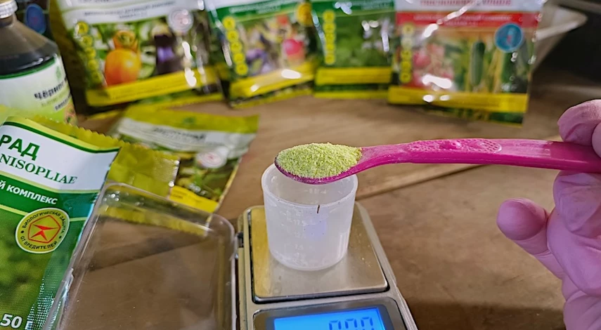 посадка огурцов на рассаду