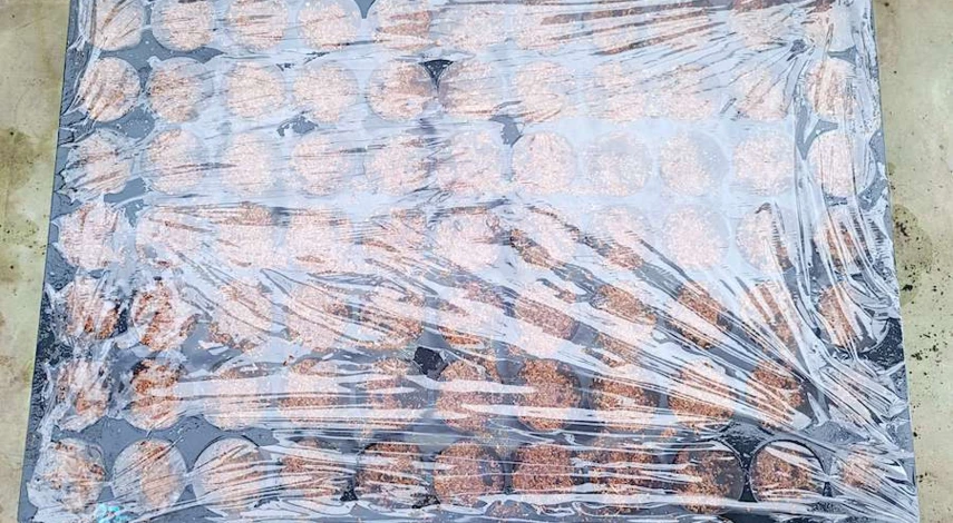 цинния посадка и уход фото