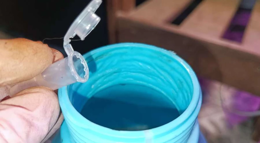 размножение пеларгонии черенками в домашних условиях