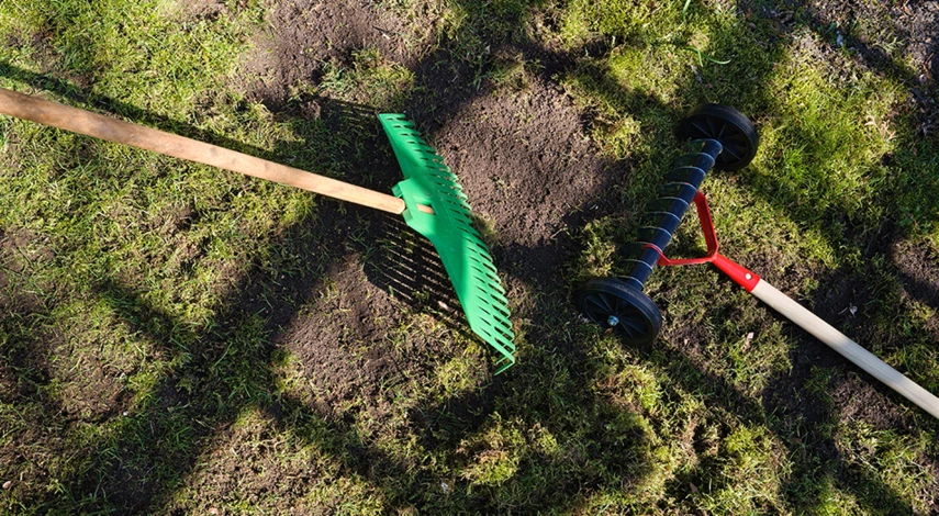 как избавиться от мха на участке