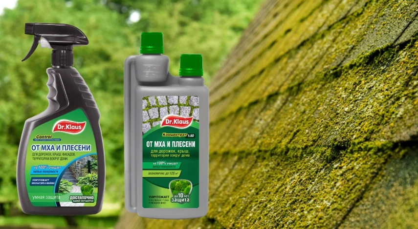 на участке растет мох