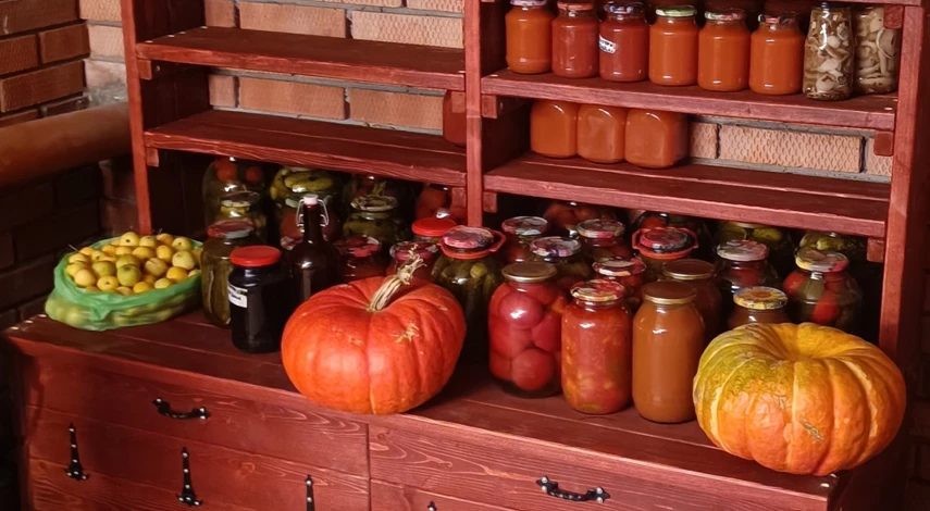 посев тыквы на рассаду