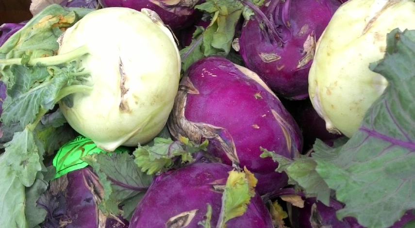 капуста кольраби как выращивать