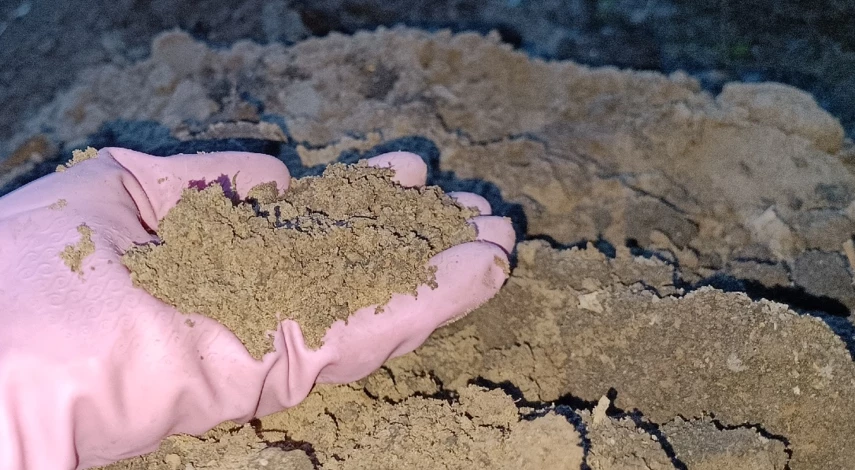 что внести в лунку при посадке клубники